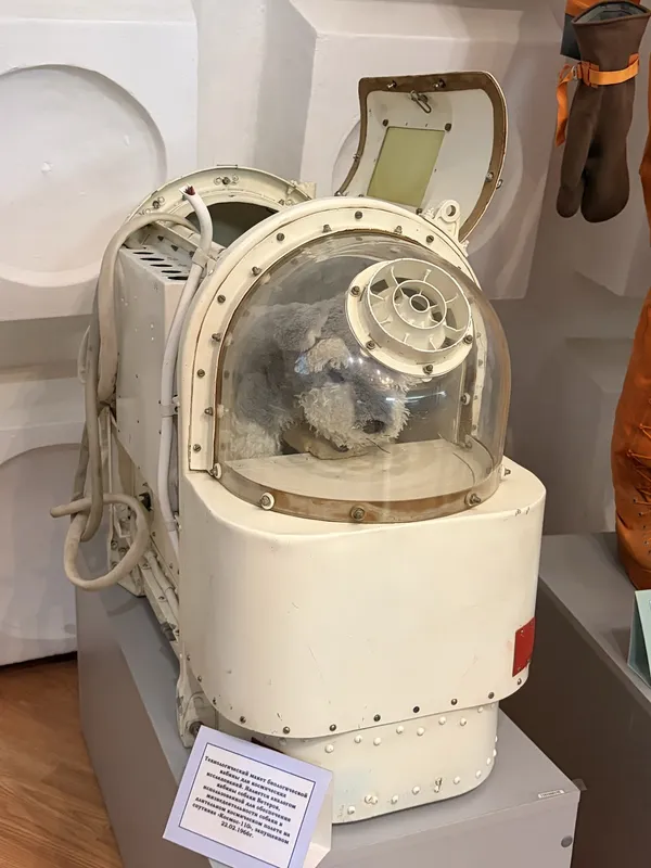 A white capsule with a domed glass window, on a museum stand.