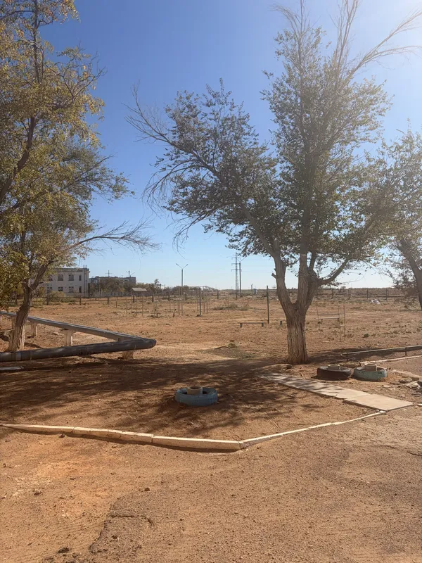 A dusty yard with trees, benches, painted tyre planters and a low white building behind a fence.