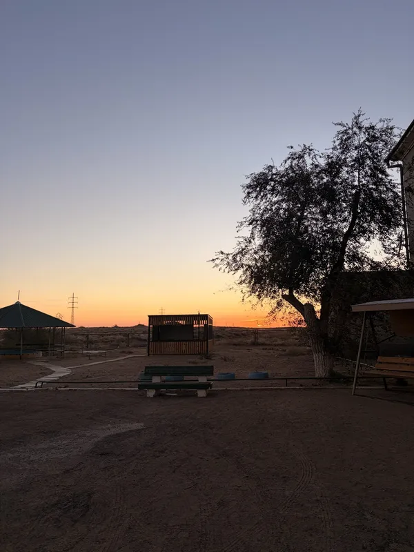 A tree silhouetted against a sunset over the flat steppe, a low building and a bench nearby.